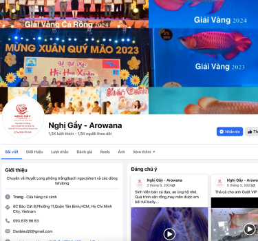@Nghị Gầy - Arowana 