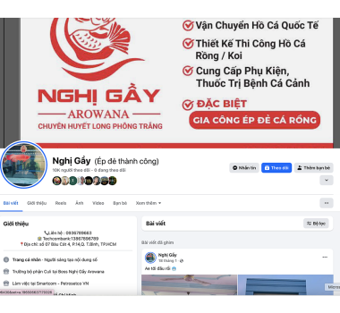 @dan.bieu