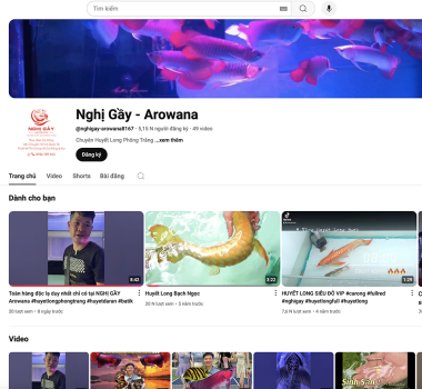 @nghigay-arowana8167