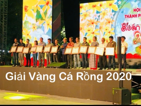 Giải Vàng Thi Cá Rồng tại Hội Hoa Xuân 2020 