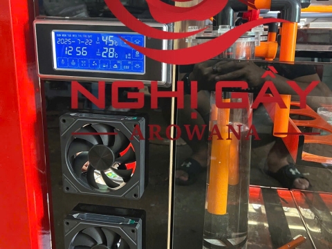 Giao hồ cho khách Tây Ninh