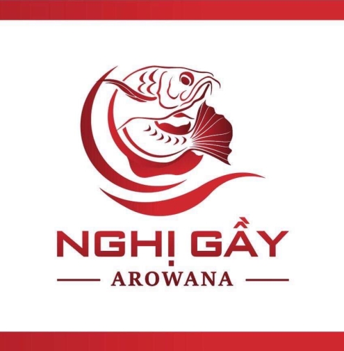 Nghị Gầy - Arowana