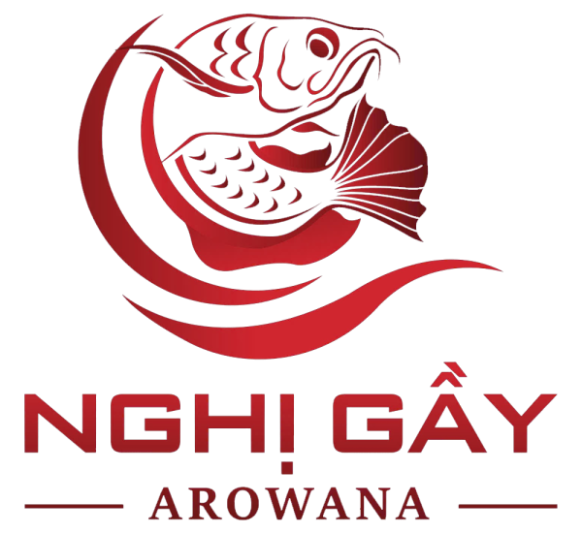 Nghị Gầy - Arowana