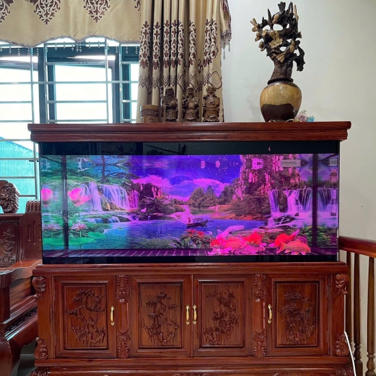 Hồ Cá Công Nghệ ốp chân gỗ