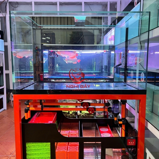 Hồ CNC View 4 mặt 2025 (có chân sắt)