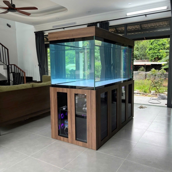 Hồ view 4 mặt Siêu Trong kết hợp tủ gỗ & tủ điện thông minh