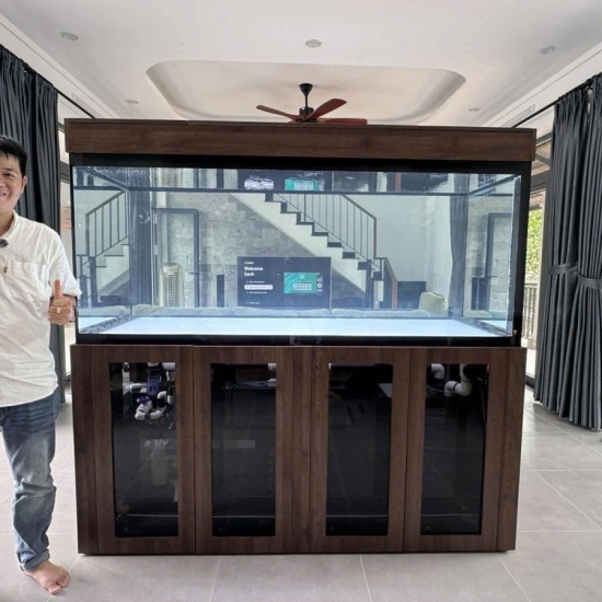 Hồ view 4 mặt Siêu Trong kết hợp tủ gỗ & tủ điện thông minh