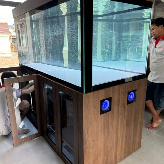 Hồ view 4 mặt Siêu Trong kết hợp tủ gỗ & tủ điện thông minh