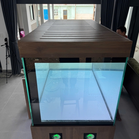 Hồ view 4 mặt Siêu Trong kết hợp tủ gỗ & tủ điện thông minh