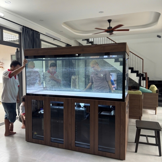 Hồ view 4 mặt Siêu Trong kết hợp tủ gỗ & tủ điện thông minh