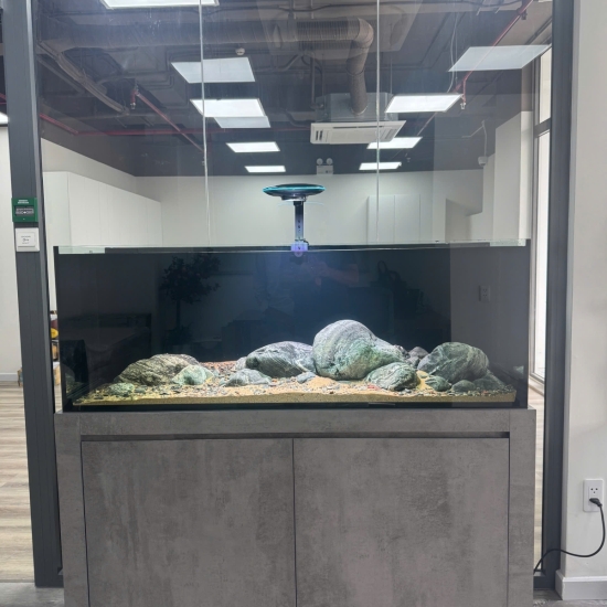 Hồ Biotop View 4 mặt
