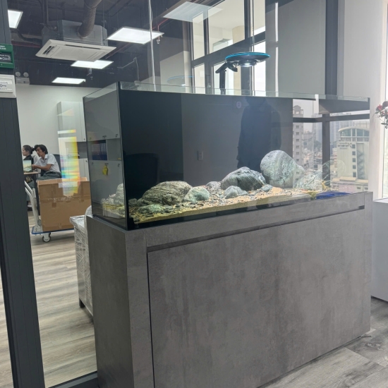 Hồ Biotop View 4 mặt