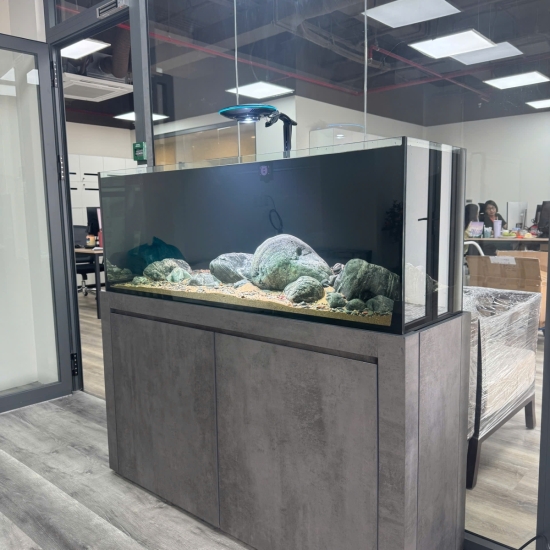 Hồ Biotop View 4 mặt